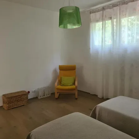 Liquidambar House 피사